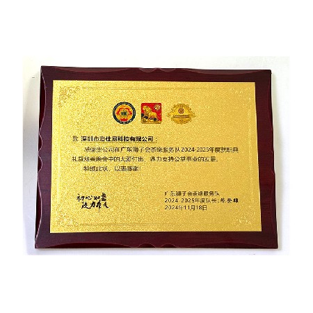 广东狮子会茶缘服务队公益奖项